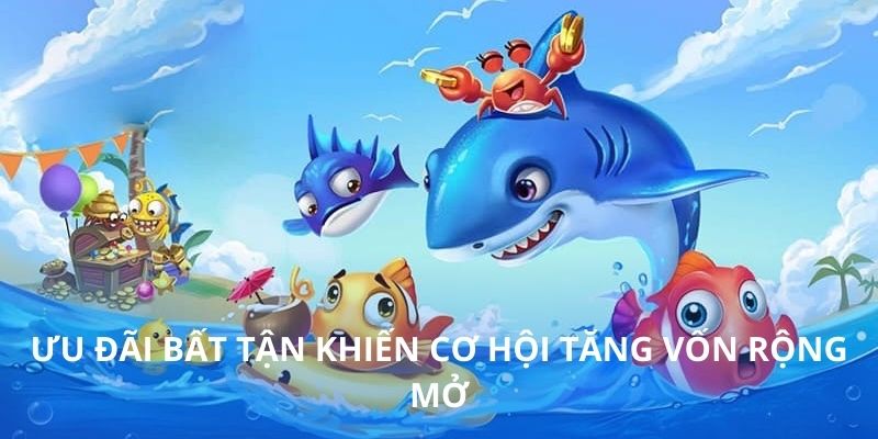 Ưu đãi bất tận khiến cơ hội tăng vốn rộng mở